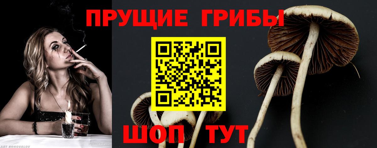 Галлюциногенные грибы ЛСД  Псилоцибиновые грибы MAGIC MUSHROOMS  Вход с VPN  Вологда 